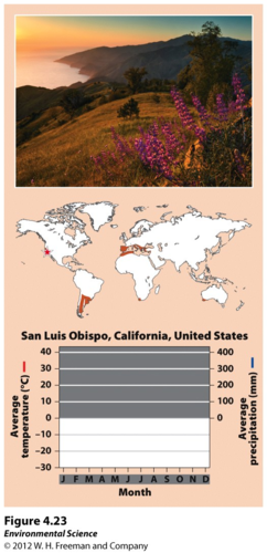 <p>Hot dry summers with mild, rainy winters. 12 month growing period, but relatively low precipitation in summer, and lower temperature in winter limit plant growth. Plants here must be adapted to both fires and drought (sagebrush, scrub oak, and shrubs).</p><p>High rain in winter = leaching of nutrients = low nutrient soil</p>