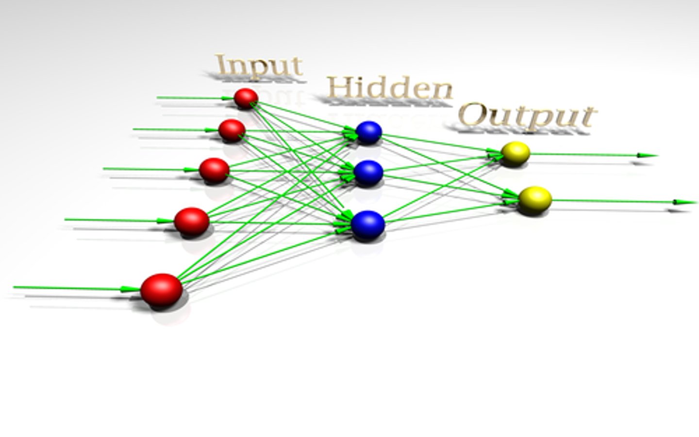 <p>networks of nerve cells that integrate sensory input and motor output</p>