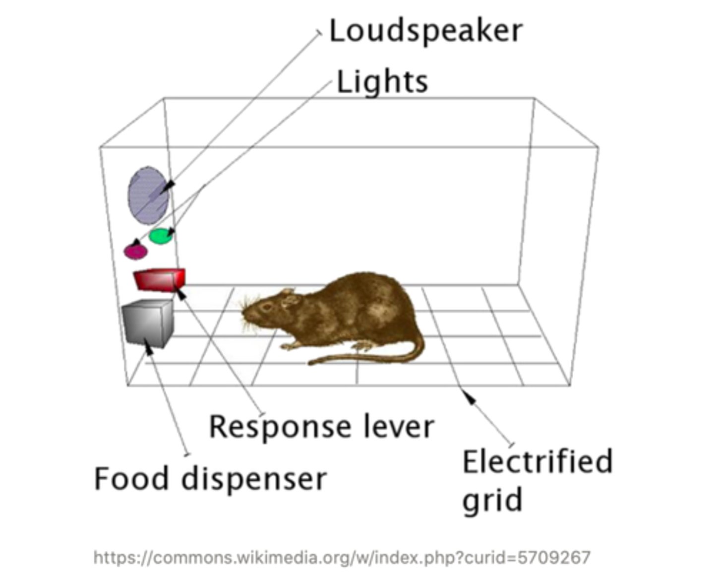 <p>skinner box</p>