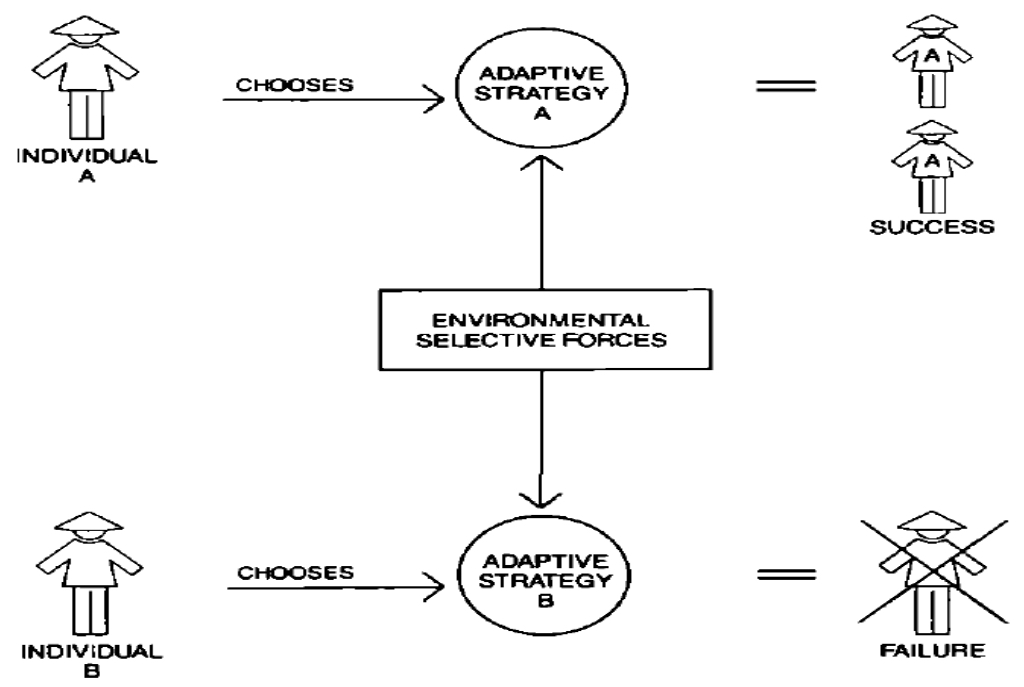 <p>What human ecological framework is this?</p>