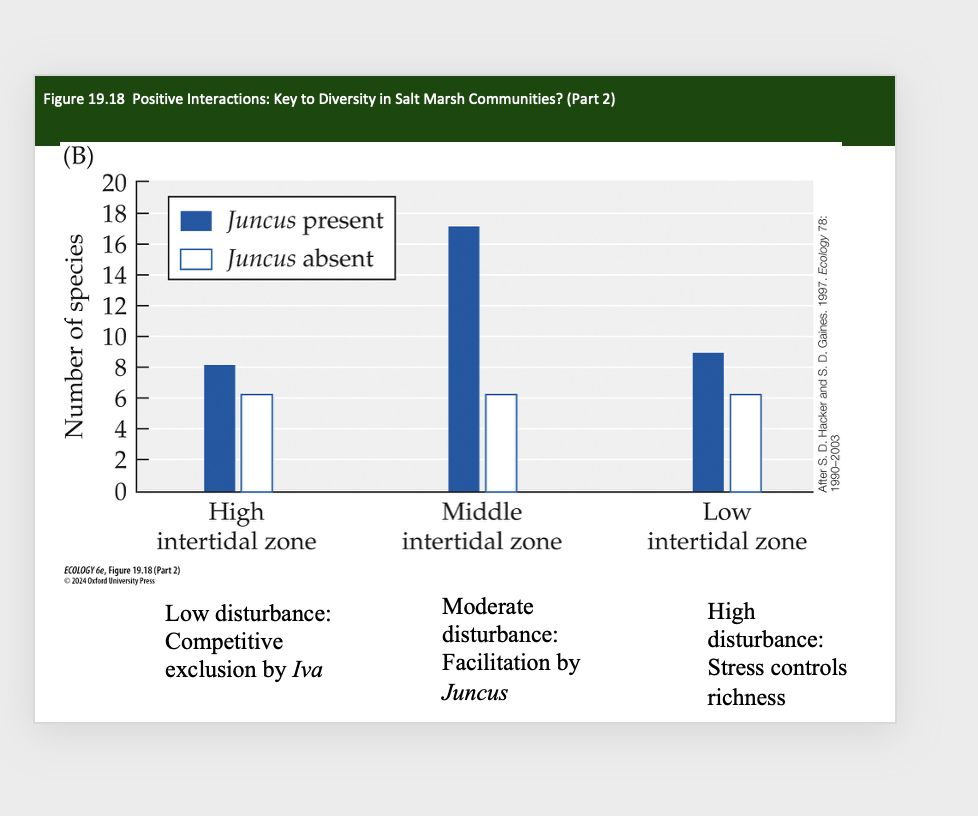 <p><span><strong>Figure 19.18&nbsp; Positive Interactions: Key to Diversity in Salt Marsh Communities?</strong></span></p><p></p>