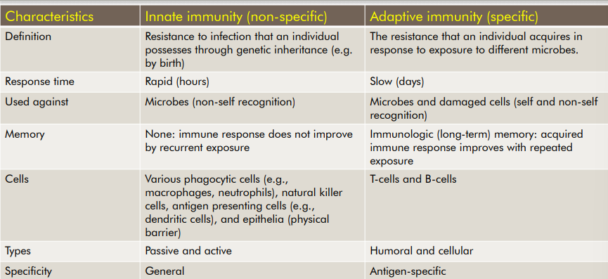 innate vs adaptive immunity table