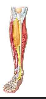 <p>What is this?</p>