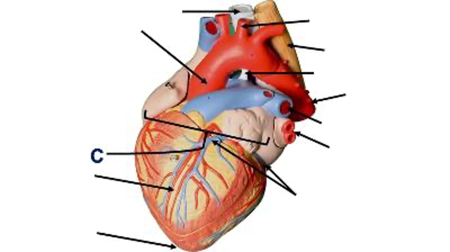 <p>What is this?</p>