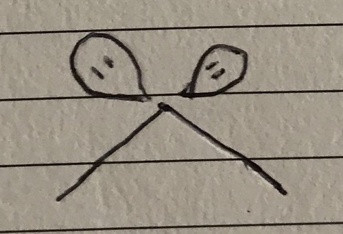 V-shaped/bent - 104.5°
