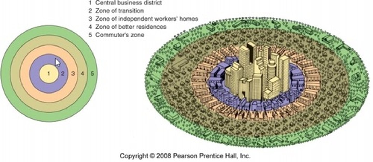 <p>city grows outward from a central area in a series of five rings (CBD, Transition, Working Class, Better Residence, Commuter)</p>
