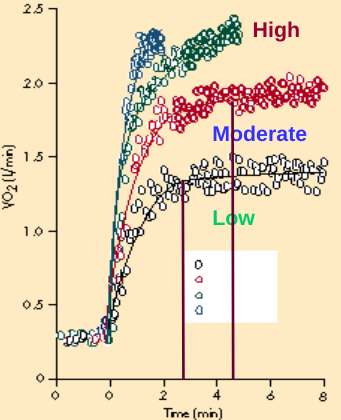 The larger the increment, the longer the time to steady state