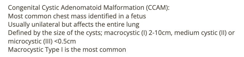 <p>c) type 1 congenital cystic adenomatoid malformation</p>