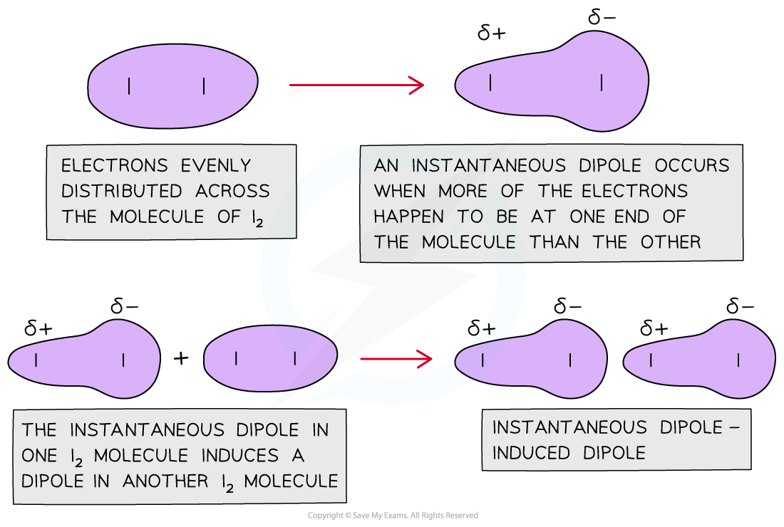 <ul><li><p>simple covalent diatomic molecules </p></li><li><p>weak London forces between each molecule</p></li><li><p>as you go down the group, the number of electrons per molecule increases</p></li><li><p>so the strength of the london forces increases </p></li><li><p>therefore more energy is required to overcome the stronger intermolecular london forces </p></li><li><p>and the mpt / bpt increases</p></li></ul><p></p>