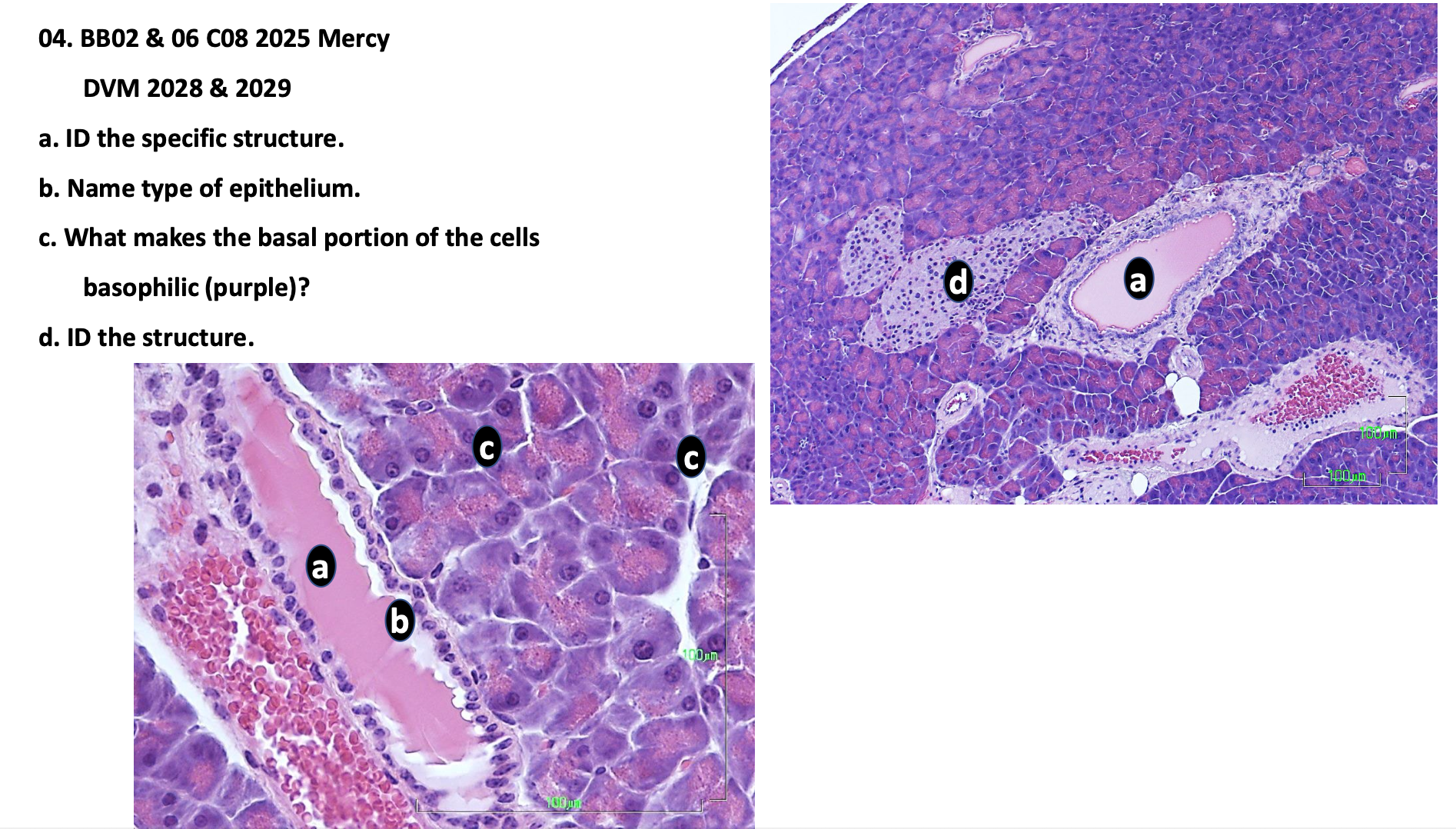 <p>b. Name type of epithelium</p>