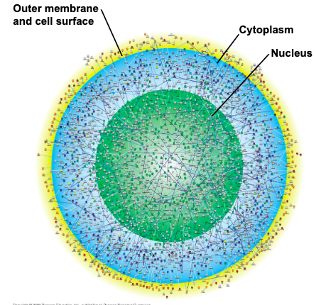 <p>a systems approach</p>