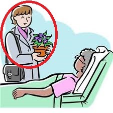 visitor, visitors (female)