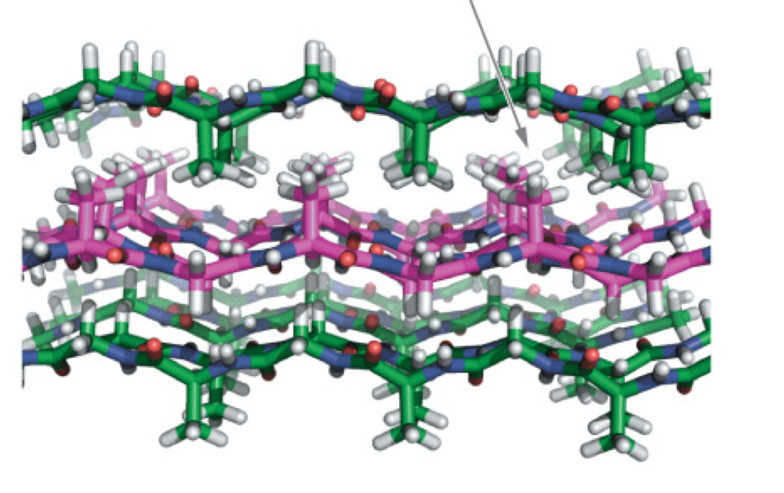 <p>Antiparallel b-sheets are already extended and VERY strong; <strong>flexible</strong> because inter-sheet <strong>van der Waal forces</strong> are weak (slide between)</p>