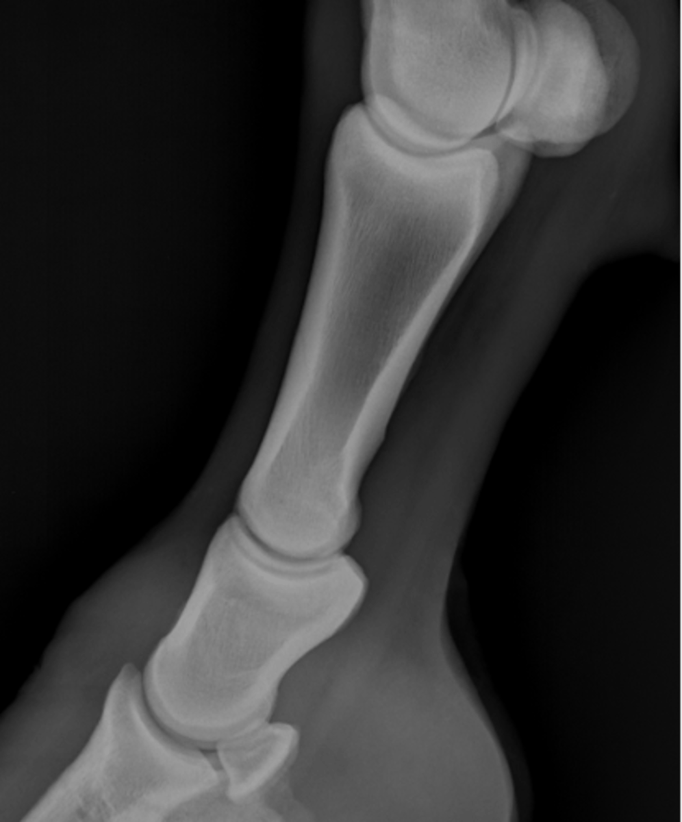 <p>ID joint and view</p>