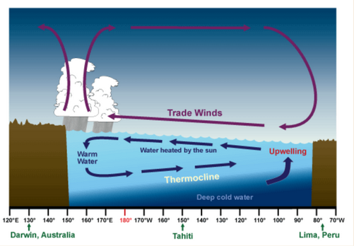 <p>The upward movement of ocean water toward the surface as a result of diverging currents.</p><ul><li><p><span>Brings nutrients up that support the producers, which in turn support large populations of fish.&nbsp;&nbsp;</span></p></li></ul><p></p>