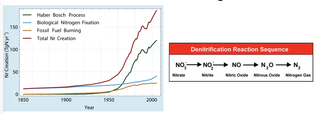 <p>what is the <strong>mass balance for nitrogen?</strong></p>