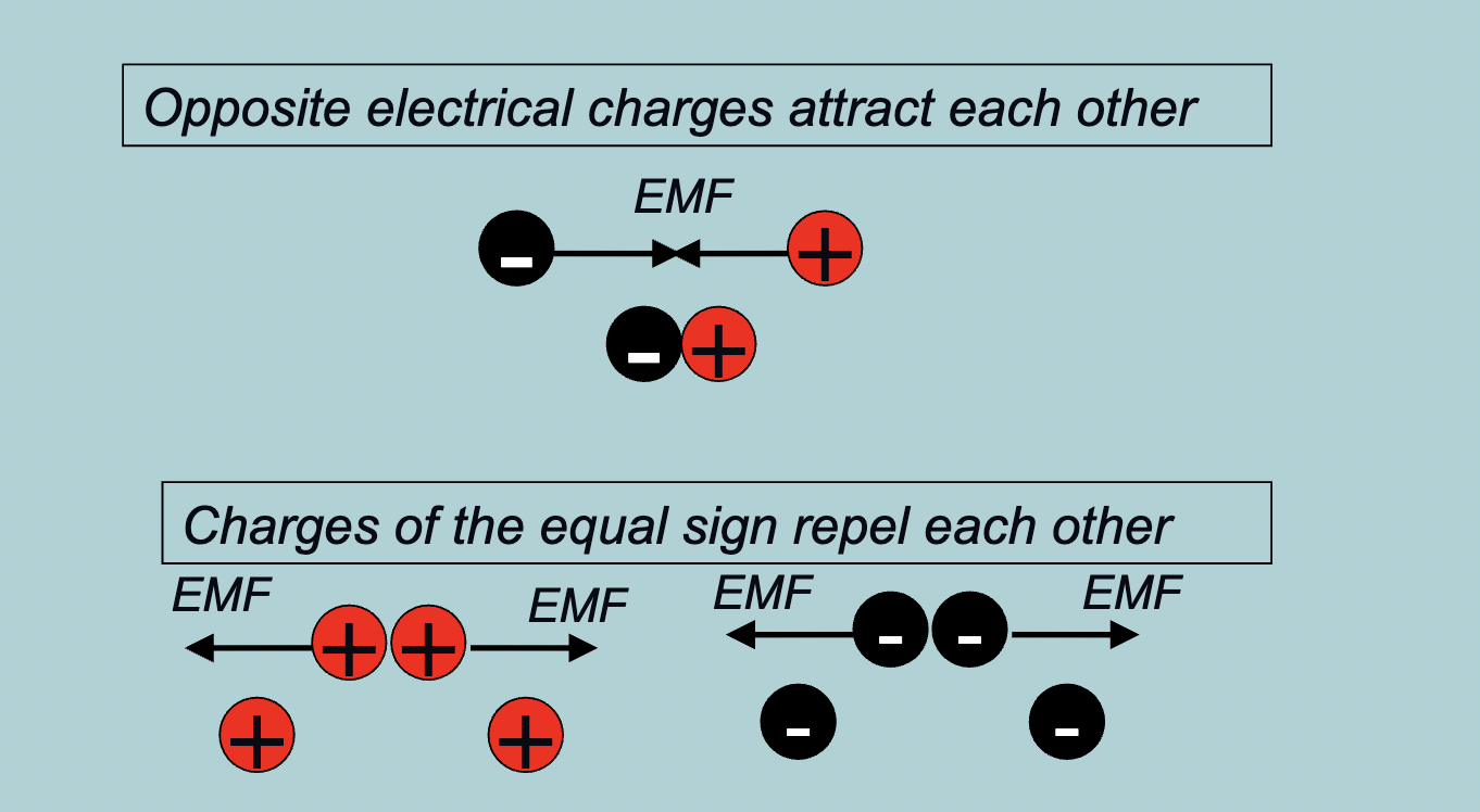 <p>Movement of ions: voltage gradients and electromotive forces:</p><ul><li><p>Move from areas of HIGH CHARGE to areas of LOW CHARGE </p></li><li><p>Separation of CHARGES, which costs ENERGY, creates an ELECTROMOTIVE FORCE (EMF)  </p></li></ul><p></p>