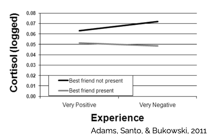 <ul><li><p>emotional and physical support</p></li><li><p>buffer in stressful times</p></li><li><p>development of social skills</p></li><li><p>social comparison</p></li><li><p>stimulation</p></li><li><p>conflict and resolution</p></li><li><p>model and reinforce behaviour</p></li></ul>