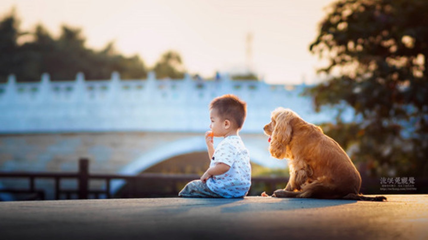 <p>péi - to accompany; to keep sb company</p>