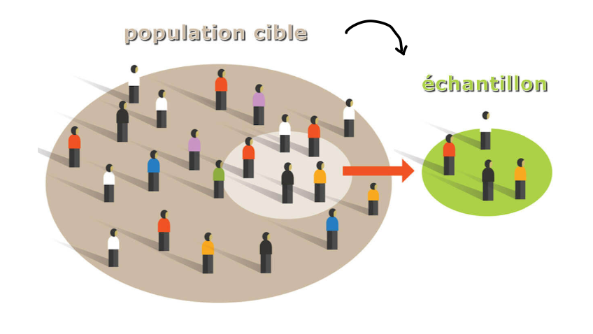 <p>Quantité limitée d'un ensemble utilisée pour représenter et étudier les propriétés de cet ensemble</p>