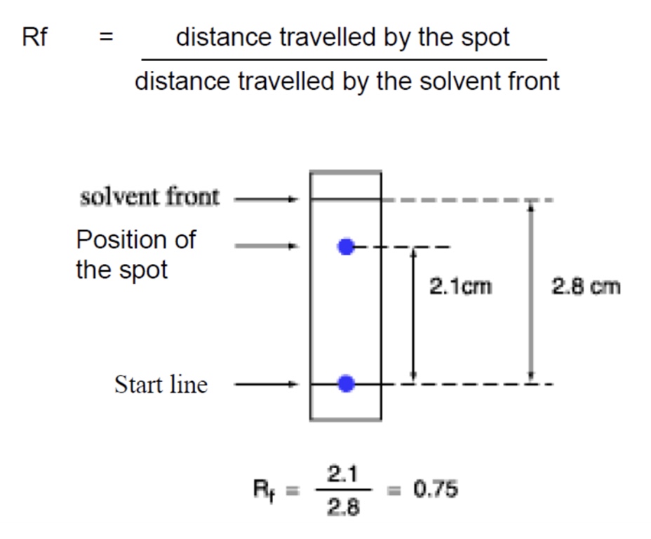 <p>value will always be between 0-1</p>