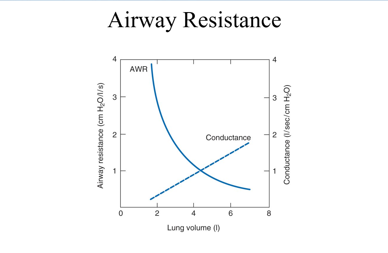 <p>Airway Resistance (solid line) </p><ul><li><p>When your lungs are <strong>small (low volume)</strong> ā like at the end of a breath out ā the <strong>airways are narrower</strong> because theyāre not stretched open.<br>ā Air has a harder time moving in and out ā <strong>high resistance</strong>.</p></li><li><p>As you <strong>inhale</strong> and your lungs expand, the airways <strong>stretch wider</strong>.<br>ā Air can flow more easily ā <strong>resistance drops</strong>.</p></li></ul><p> </p><p><span data-name="check_mark_button" data-type="emoji">ā
</span> So, <strong>the fuller your lungs, the lower the airway resistance.</strong></p><p></p><p>Conductance (dashed line) </p><ul><li><p>Conductance is just the <strong>opposite</strong> of resistance ā how easily air flows.</p></li><li><p>When lungs are small ā <strong>low conductance</strong> (hard to move air).</p></li><li><p>When lungs are large ā <strong>high conductance</strong> (air moves easily).</p></li></ul><p></p>