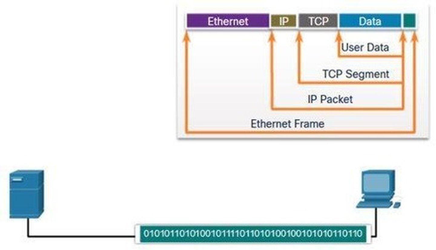 <p>Recognizing the source in communication protocols.</p>