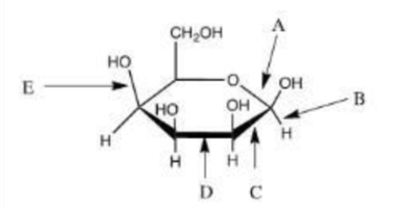 <p>Which letter represents the hemiacetal bond?</p>