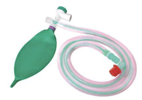 <p>name this component and which breathing system it belongs to</p>