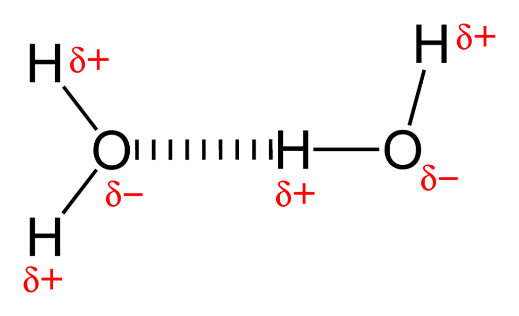 <p>A weak bond between a hydrogen atom of one molecule and an electronegative atom (like oxygen) of another</p>