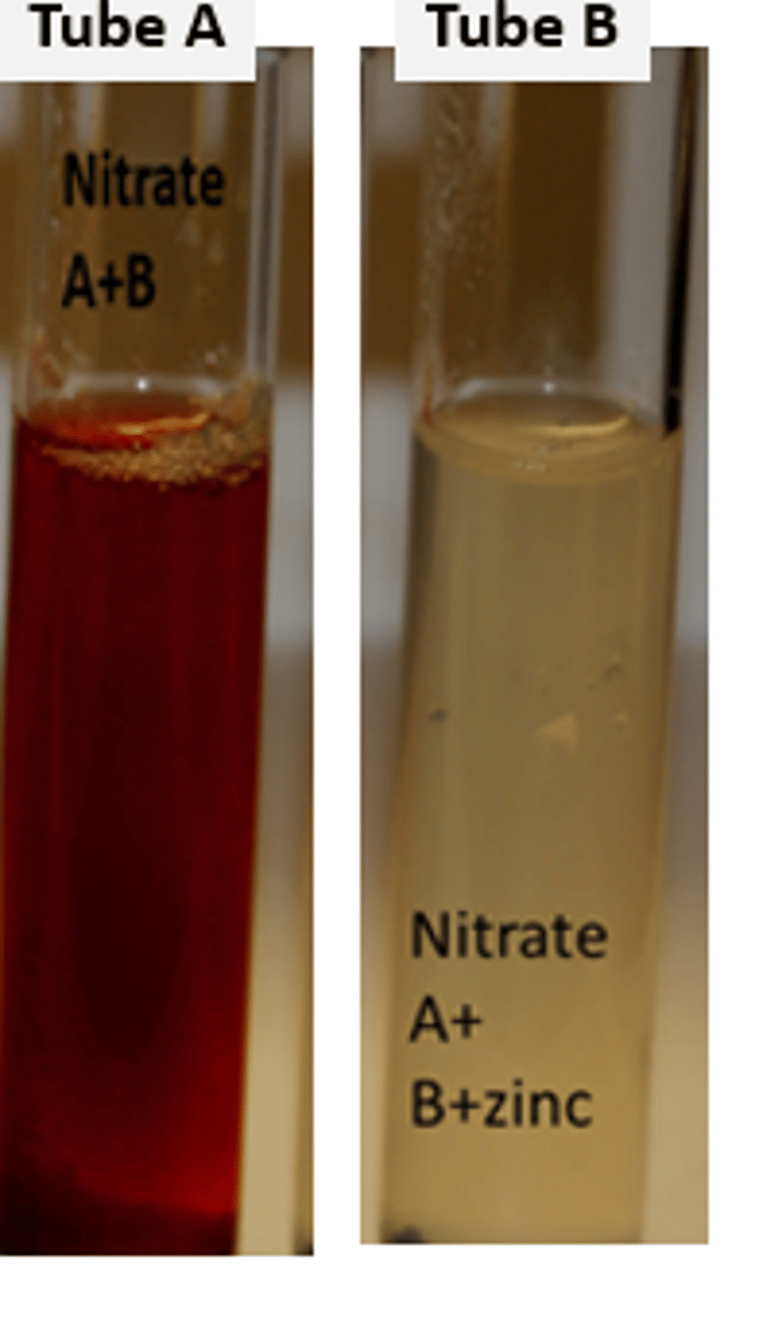 <p>+: red</p><p>-: no color change or color change after adding zinc</p>