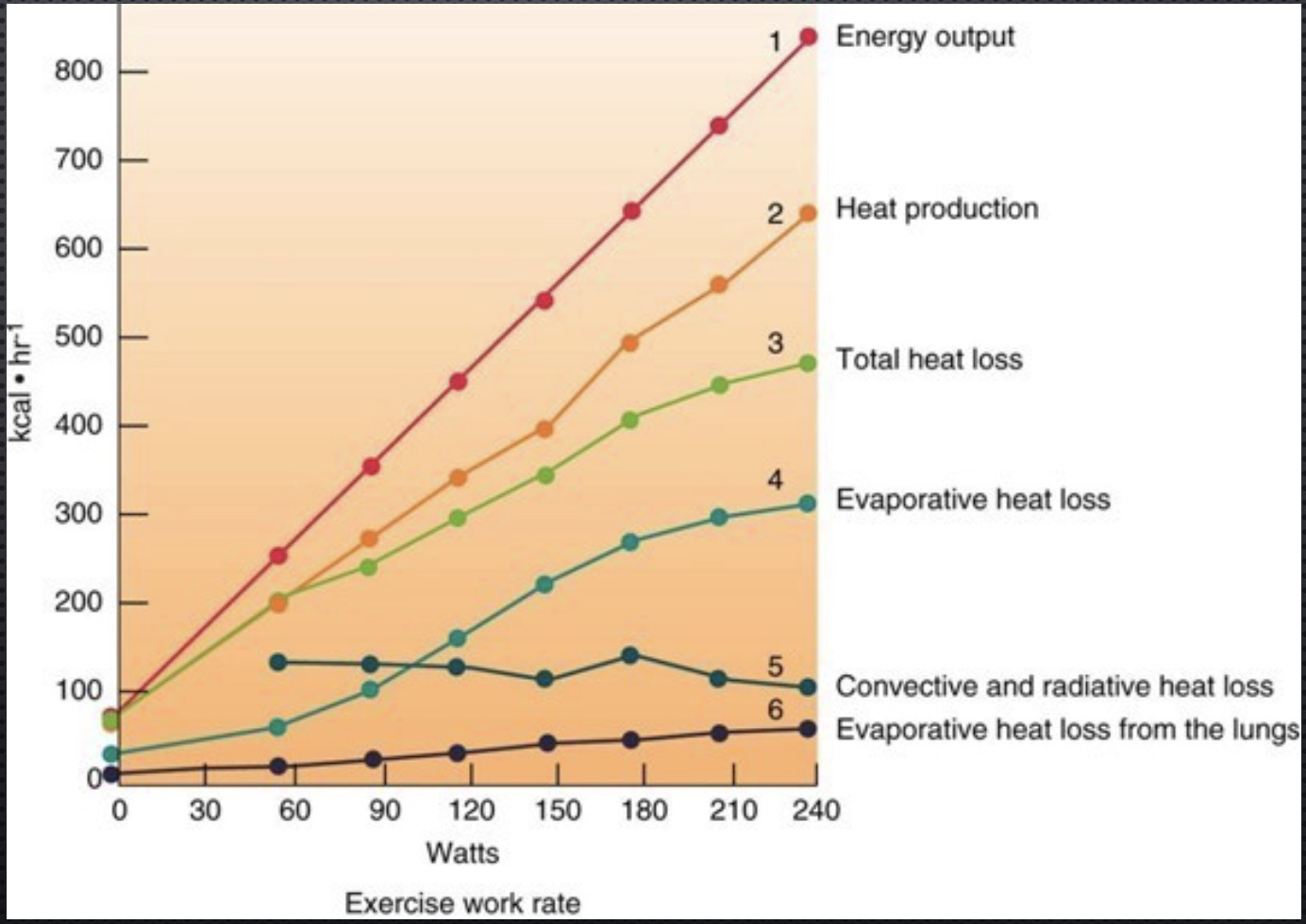 <p><u>In a normal envionrment during progressive exericse…</u></p><p><strong>-Energy output:</strong> not all to exercise….</p><p>*energy for work; resting=60kcal/hr</p><p><strong>-Heat production:</strong> most energy/80% lost to heat</p><p>*how much heat loss; example of a higher TC/normal response</p><p><strong>-Total heat loss:</strong> don’t loss all</p><p>*next 3=dif heat loss ways</p><p><strong>-Evaporative heat loss:</strong> most effective; sweating</p><p><strong>-Radiative and Evaporative heat lost:</strong> don’t change much</p><p><u>If Humid</u></p><p>-red and orange same</p><p>-green and teal down</p><p>*Tc goes up</p>