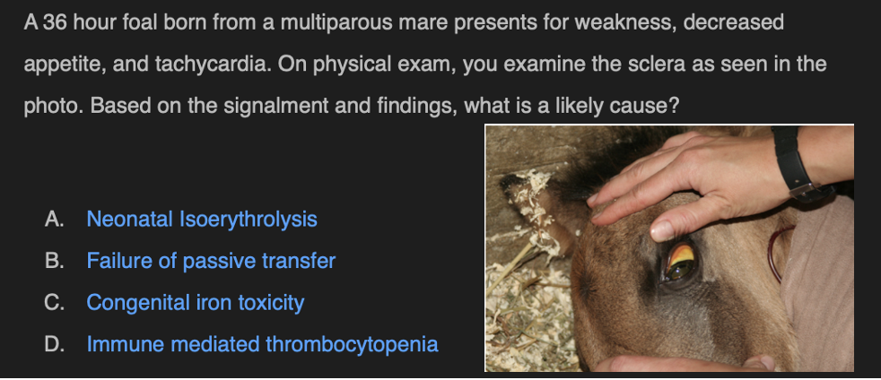 term image