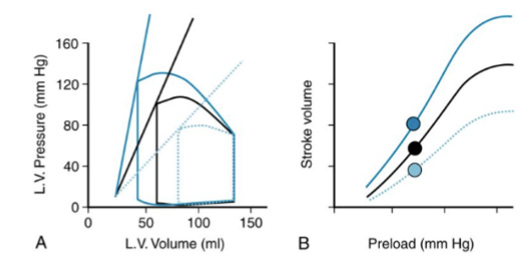 <p>Describe the relationships happening on graph</p>