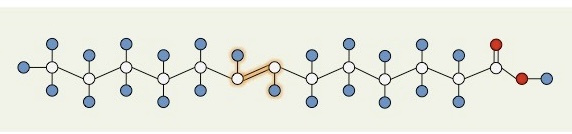 <p>What type of fatty acid is this?</p>