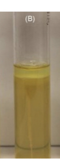 <p>Sulfur Reduction Indol Production Motility</p>