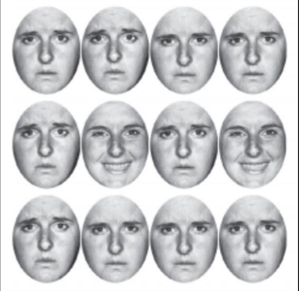 <ul><li><p>Ability to extract summery information from complex scenes</p></li><li><p>Reduces cognitive load because it would be lots of effort to notice every emotion</p></li><li><p>We can extract what the average emotion is, for example in this pic, average emotion is confused, even though there are a few happy faces</p></li></ul><p></p>