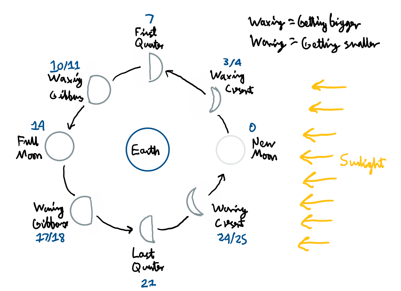 knowt flashcard image