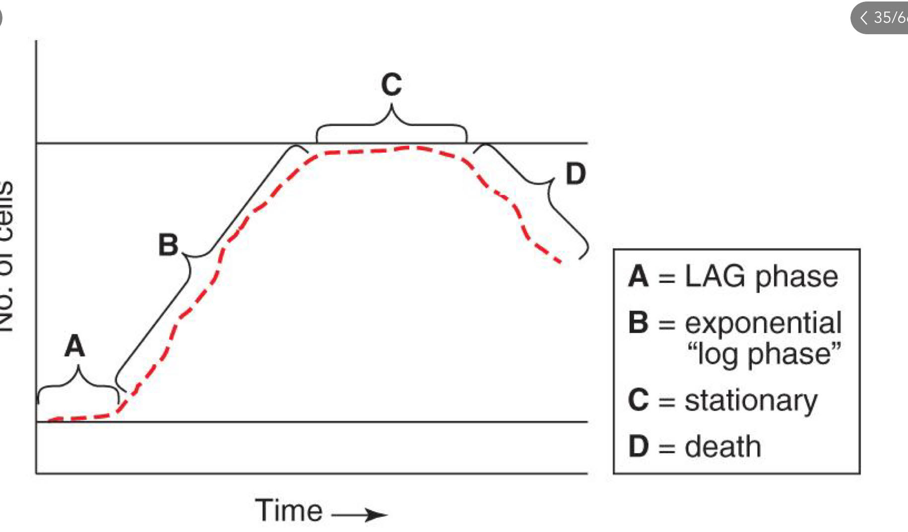knowt flashcard image