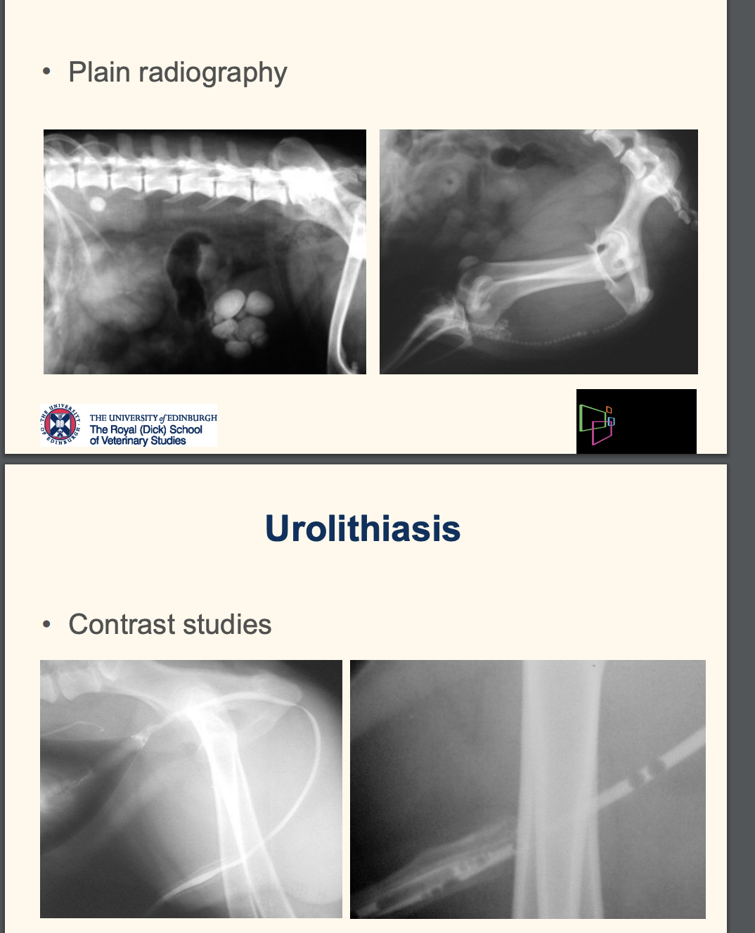 <ul><li><p>plain radiograph</p></li><li><p>contrast (if radiolucent stone): retrograde urethograms</p></li></ul><p>—> important to include the ENTIRE UT</p><p></p>