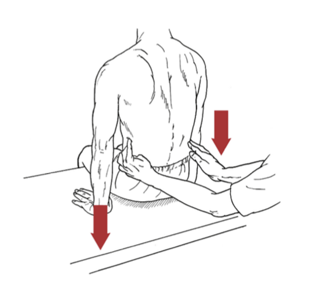 <p>What is being tested in this image?</p>