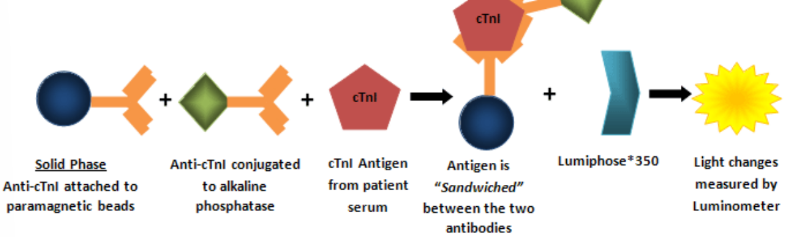 <p>• Troponin I- serum or used, monoclonal antibody immunoassay, 7-30 minute run time</p><p>• Troponin T- quantitative, serum or plasma used, immunoassay specific from cTnT, lateral flow assay can also be used</p>