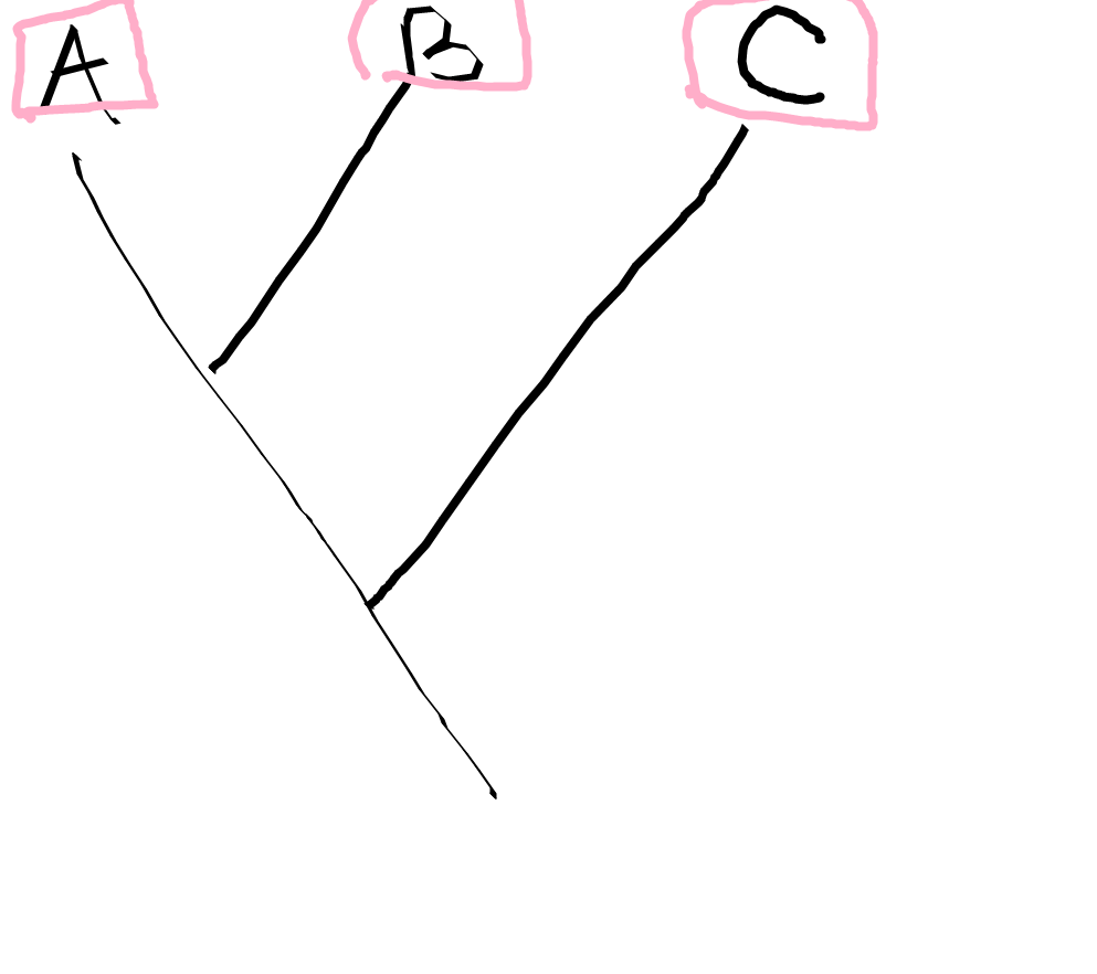 <p>What are these parts of the cladogram?</p>
