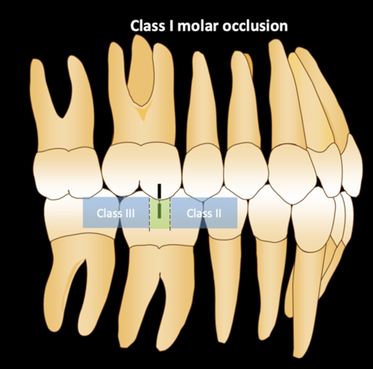 <p>Anything in the green is chillin though</p>