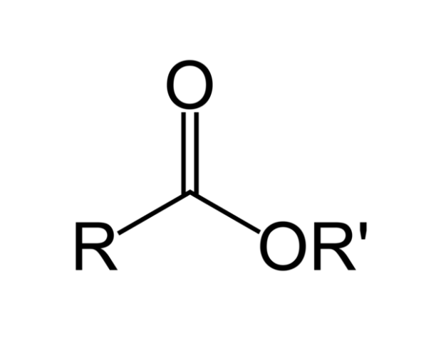 <p><span><span>Examples: CH3COOCH3 Methyl ethanoate, CH3CH2COOCH2CH3 Ethyl ethanoate</span></span></p>