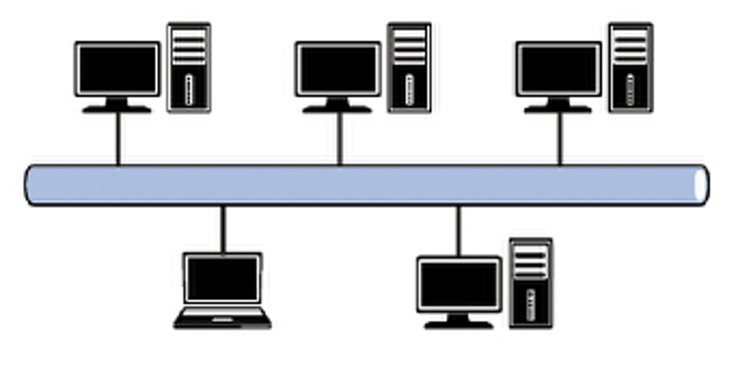 <p>All devices are attached to a common connection medium, known as the backbone. Any communication must travel through this medium. A server may be attached, or a printer or a router if the network needs to provide access to the internet. At either end of the backbone is a terminator, which marks the end of a network.</p>