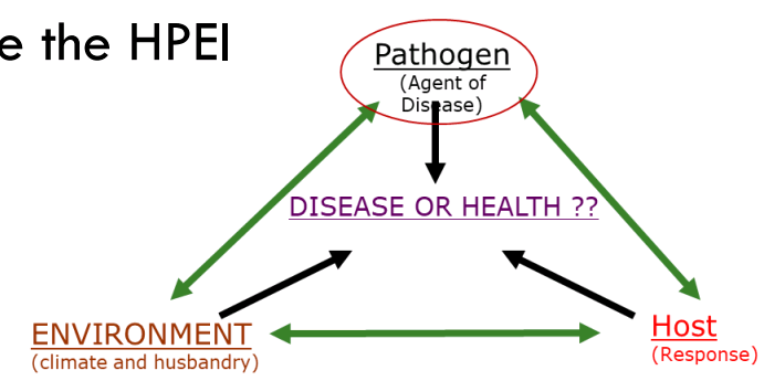 Factors that influence the Host pathogen environment interaction (HPEI)