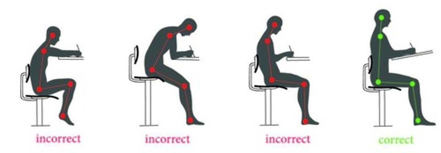 <p>Should be at eye level to reduce strain.</p>
