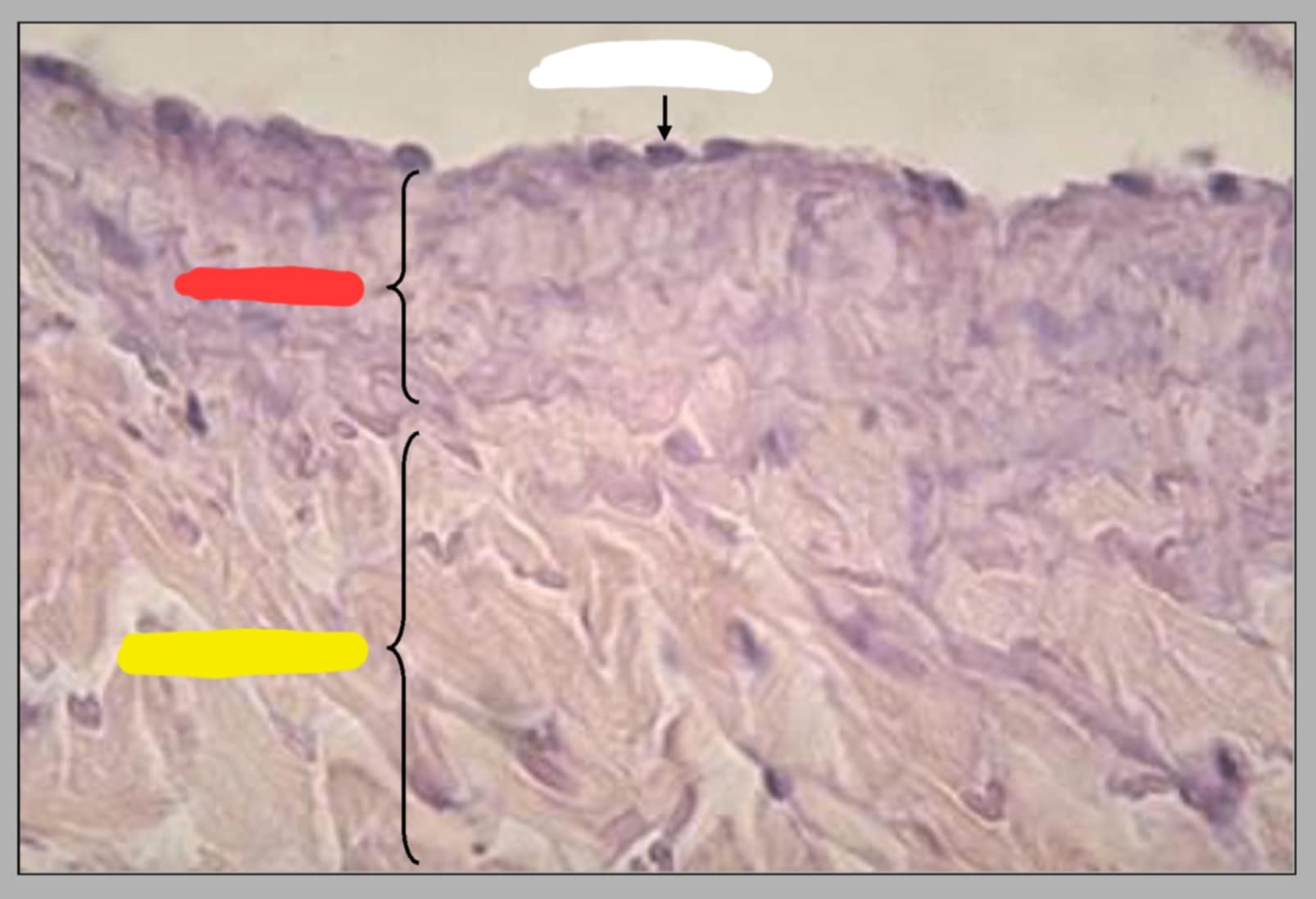 <p>name of this slide and its parts.</p>