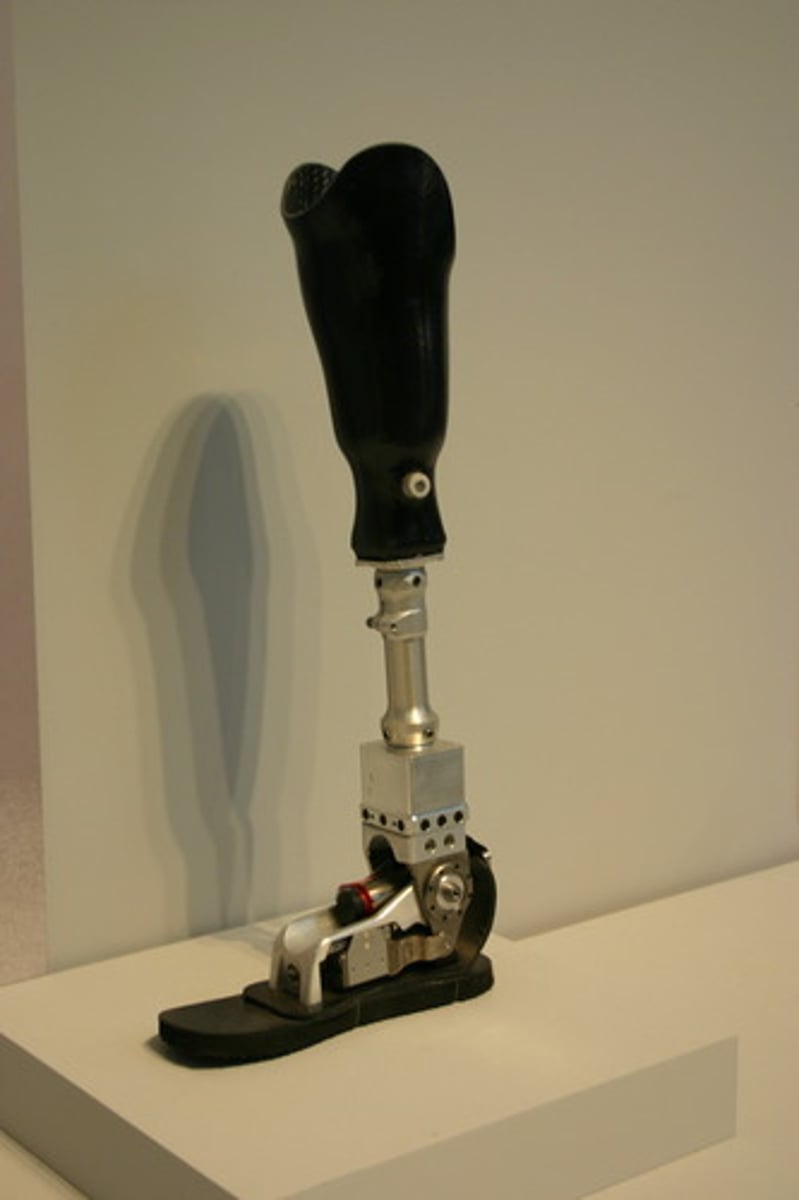 <p>An artificial device used to replace a missing body part, such as a limb, tooth, eye, or heart valve.</p>